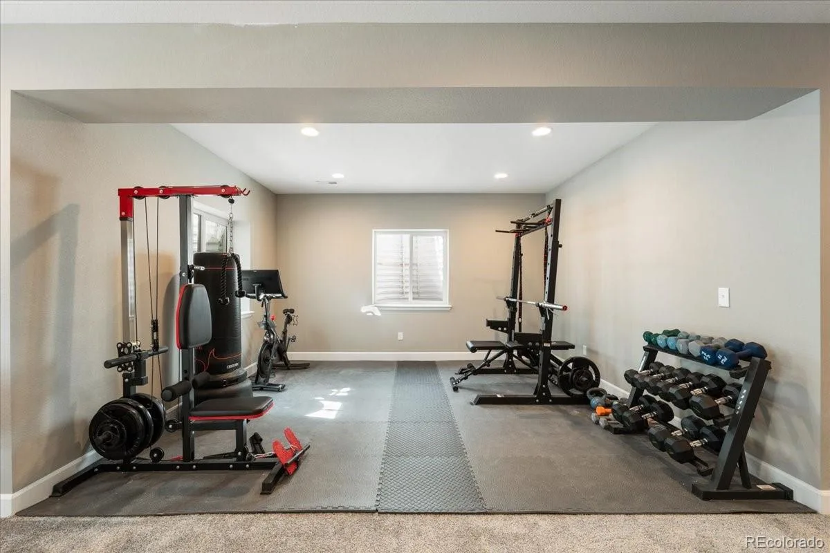 8480 Arapahoe Peak Street Littleton CO 80125 | MLS #REC4763732 08072026154204 1200 38