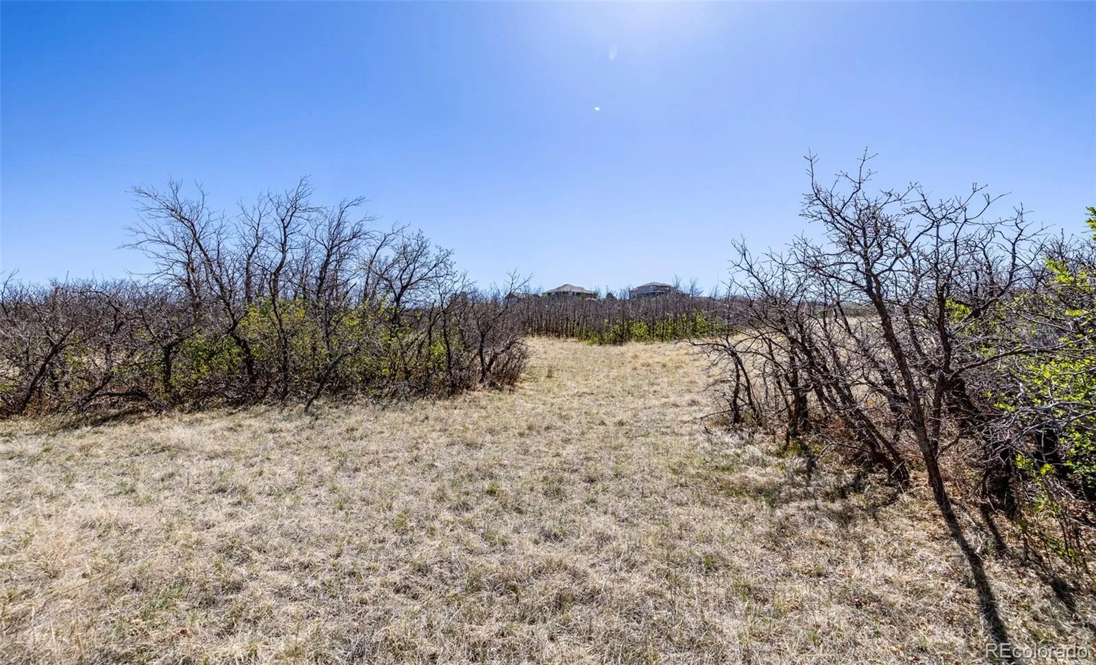 1701 N Rocky View Road Castle Rock CO 80108 | MLS #REC4765039 06122026215241 1600 12