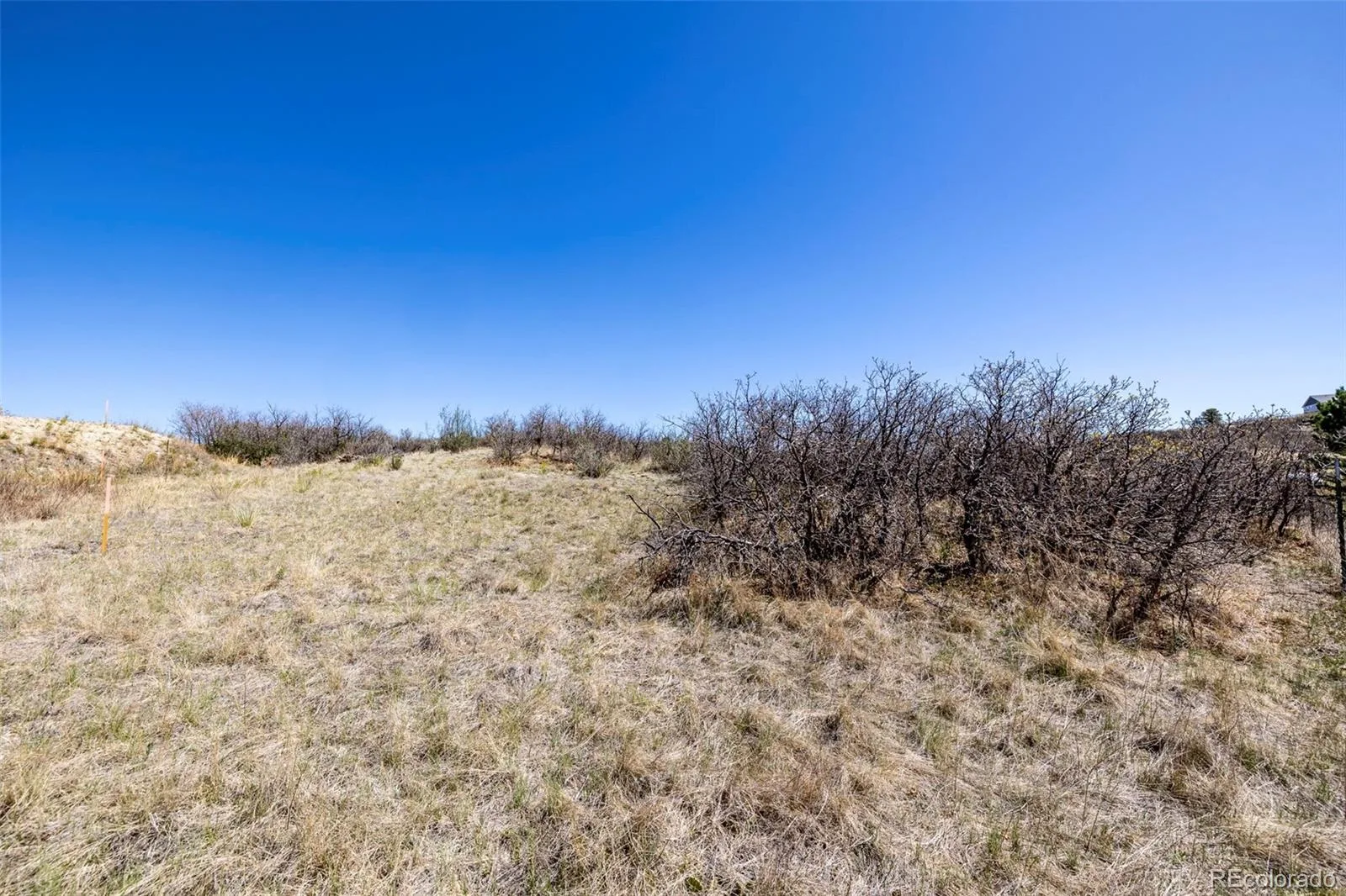 1701 N Rocky View Road Castle Rock CO 80108 | MLS #REC4765039 06122026215241 1600 13