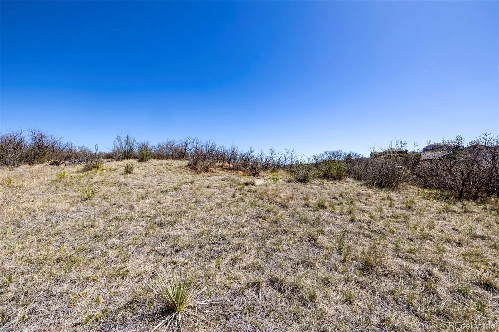 1701 N Rocky View Road Castle Rock CO 80108 | MLS #REC4765039 06122026215241 1600 14