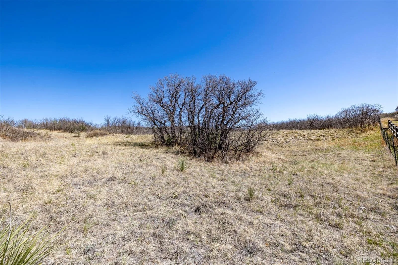 1701 N Rocky View Road Castle Rock CO 80108 | MLS #REC4765039 06122026215241 1600 16