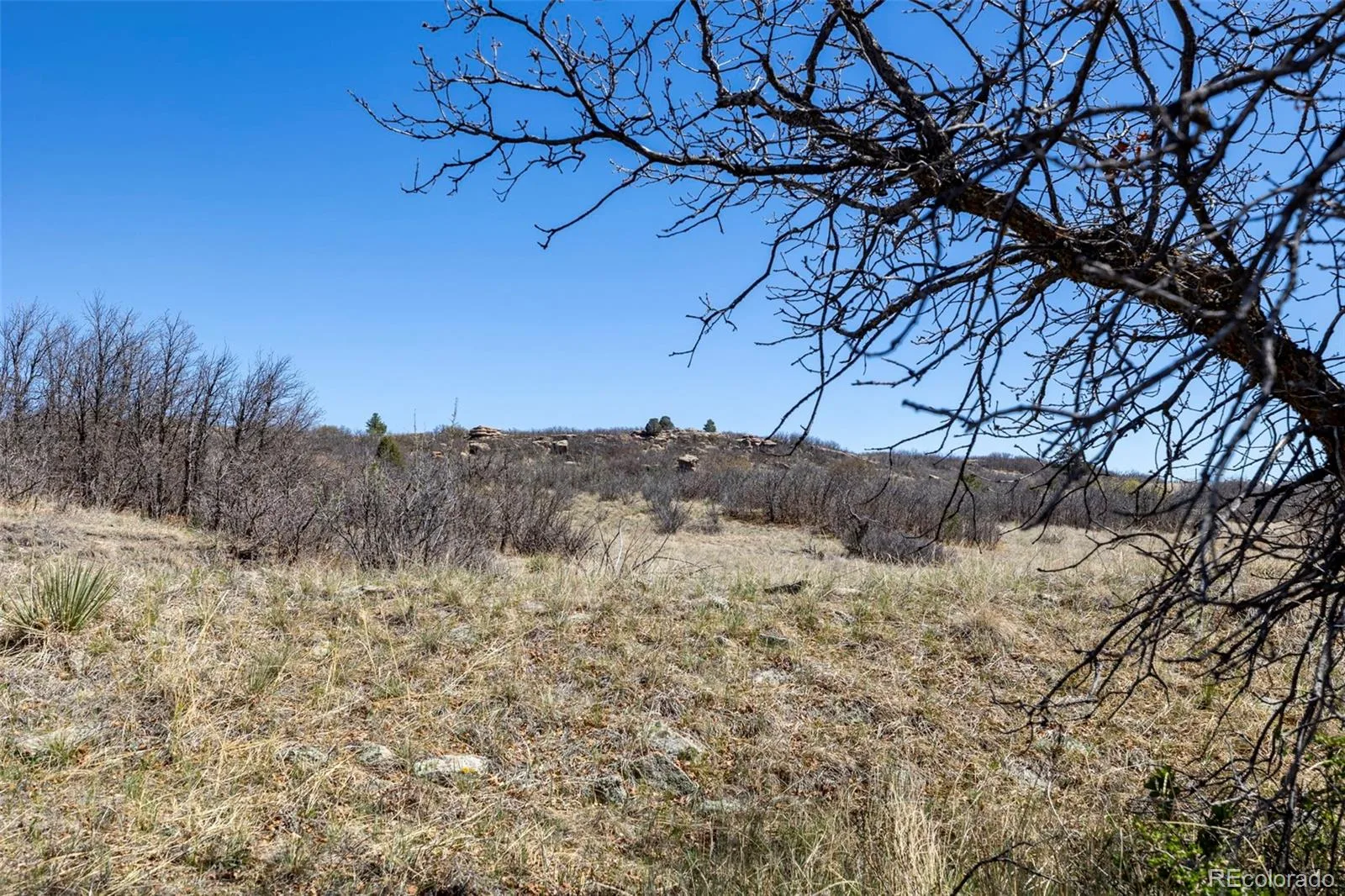 1701 N Rocky View Road Castle Rock CO 80108 | MLS #REC4765039 06122026215241 1600 17