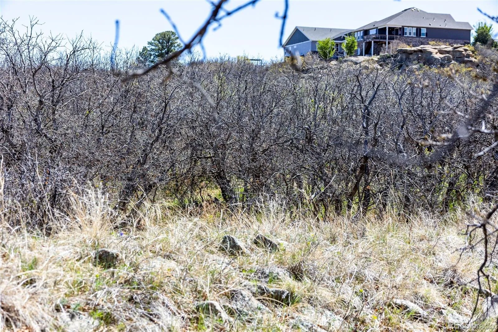 1701 N Rocky View Road Castle Rock CO 80108 | MLS #REC4765039 06122026215241 1600 18
