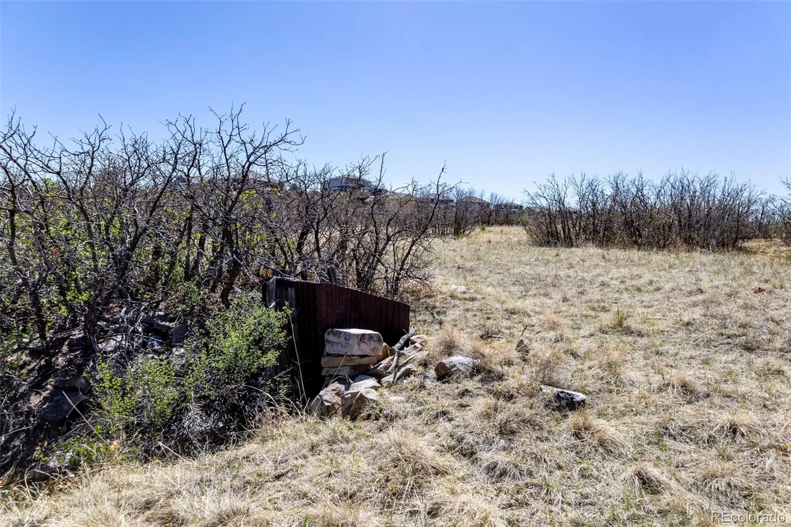 1701 N Rocky View Road Castle Rock CO 80108 | MLS #REC4765039 06122026215241 1600 21