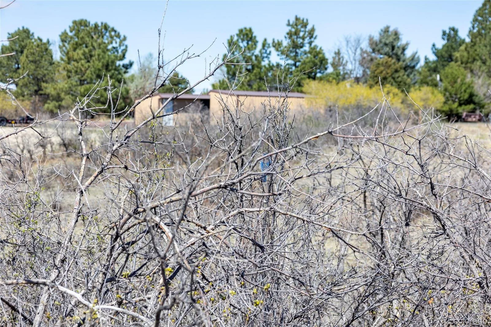 1701 N Rocky View Road Castle Rock CO 80108 | MLS #REC4765039 06122026215241 1600 24