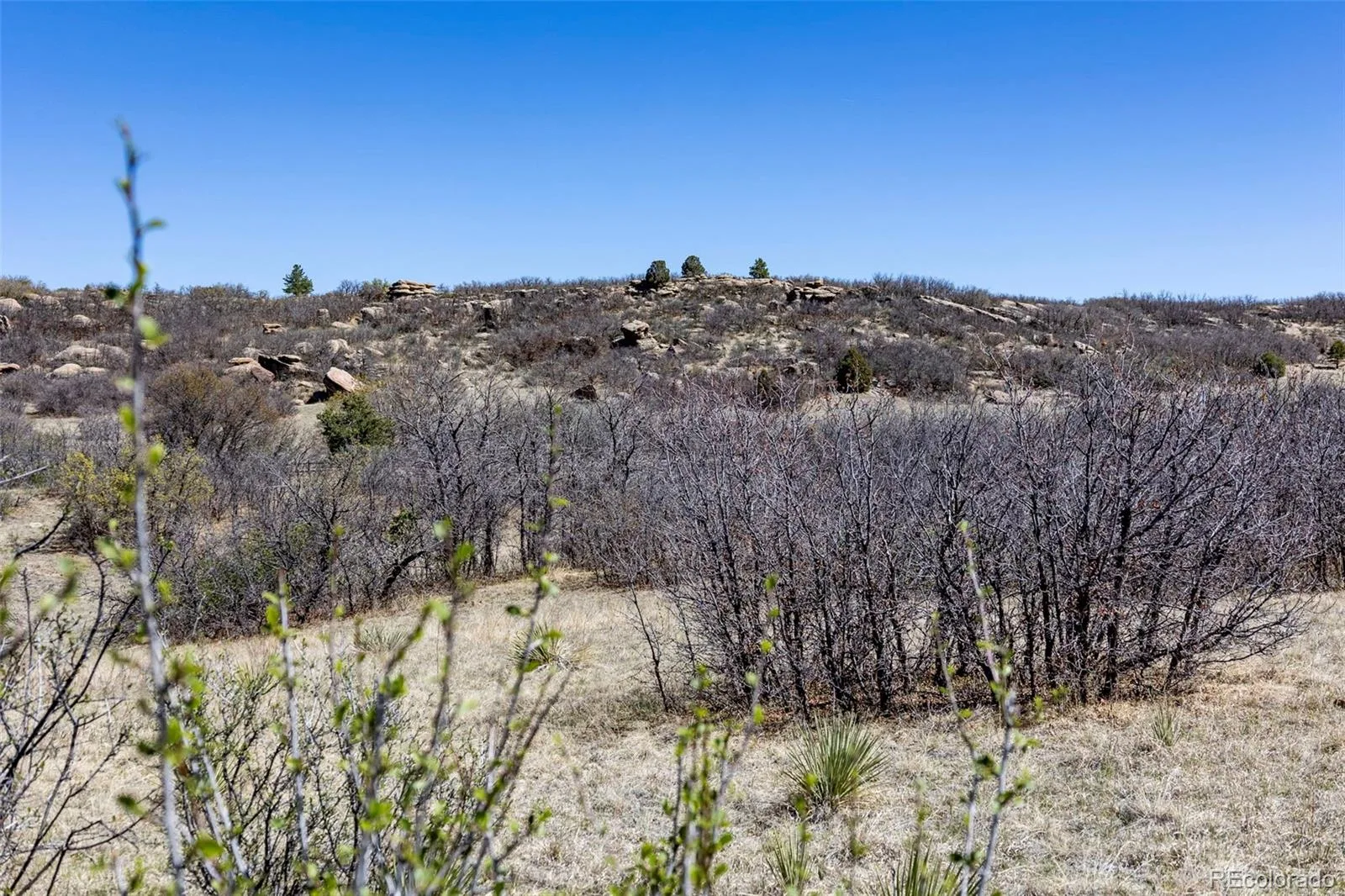 1701 N Rocky View Road Castle Rock CO 80108 | MLS #REC4765039 06122026215241 1600 30