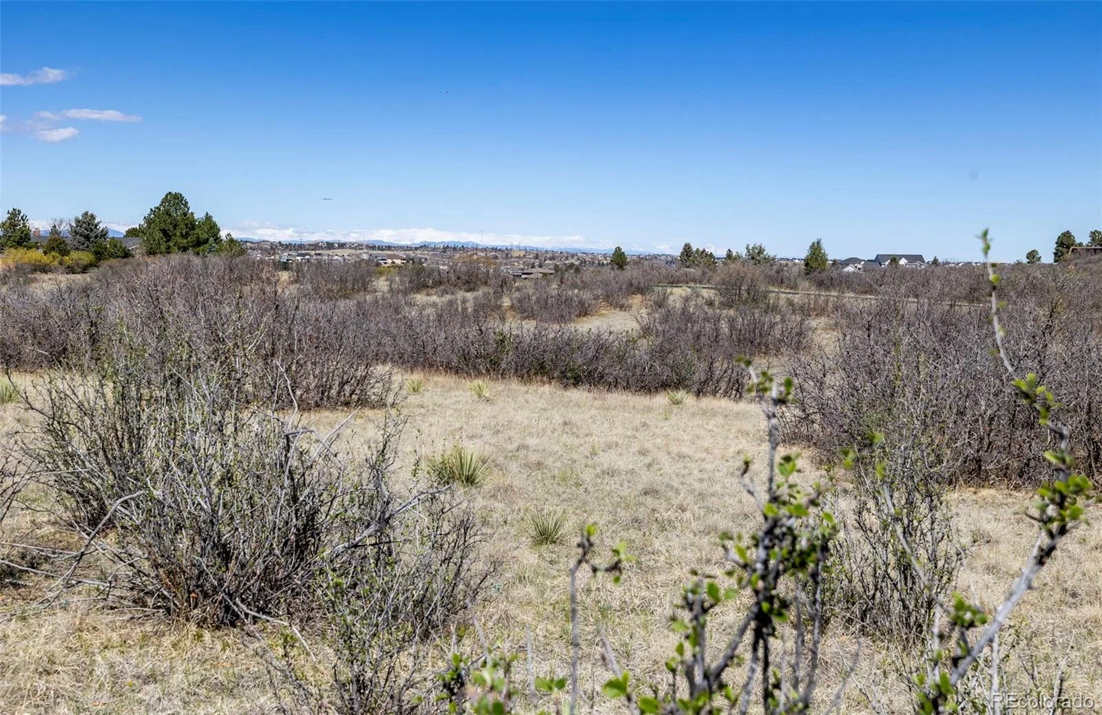 1701 N Rocky View Road Castle Rock CO 80108 | MLS #REC4765039 06122026215241 1600 32