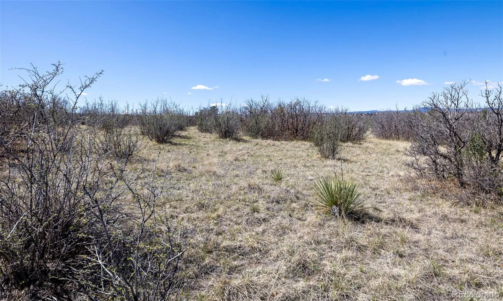 1701 N Rocky View Road Castle Rock CO 80108 | MLS #REC4765039 06122026215241 1600 33