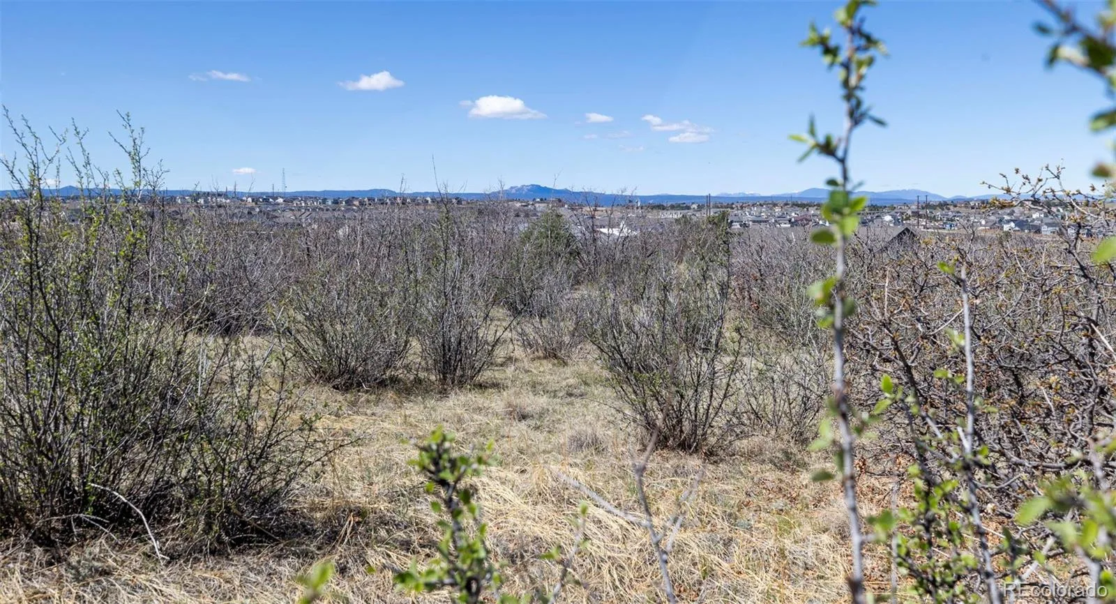 1701 N Rocky View Road Castle Rock CO 80108 | MLS #REC4765039 06122026215241 1600 34