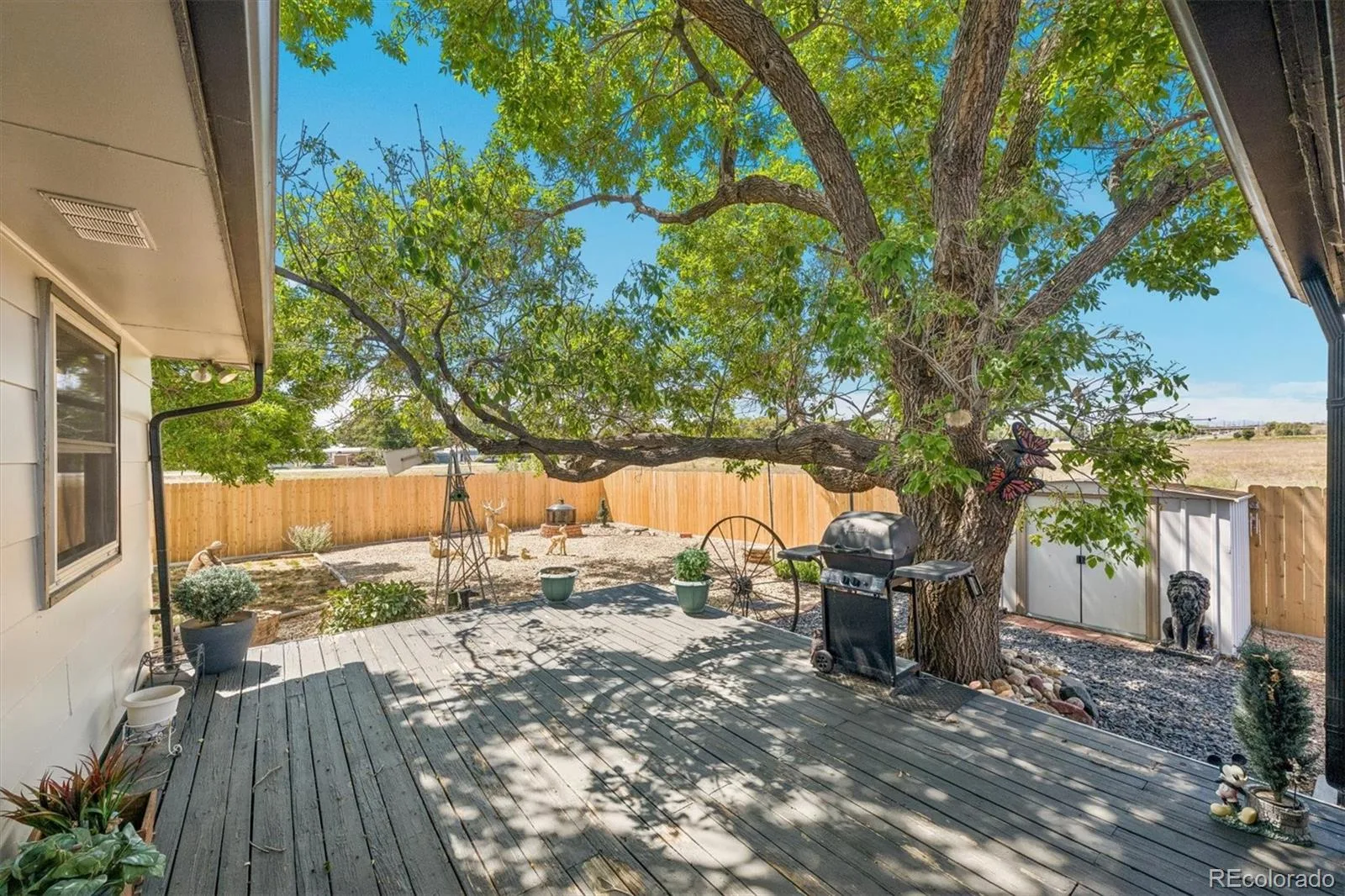 8831 Monroe Street Denver CO 80229 | MLS #REC4768608 08242026215850 1600 21