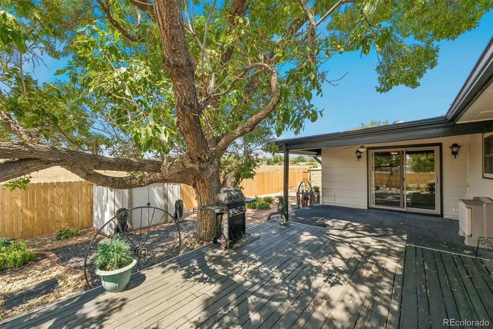 8831 Monroe Street Denver CO 80229 | MLS #REC4768608 08242026215850 1600 22