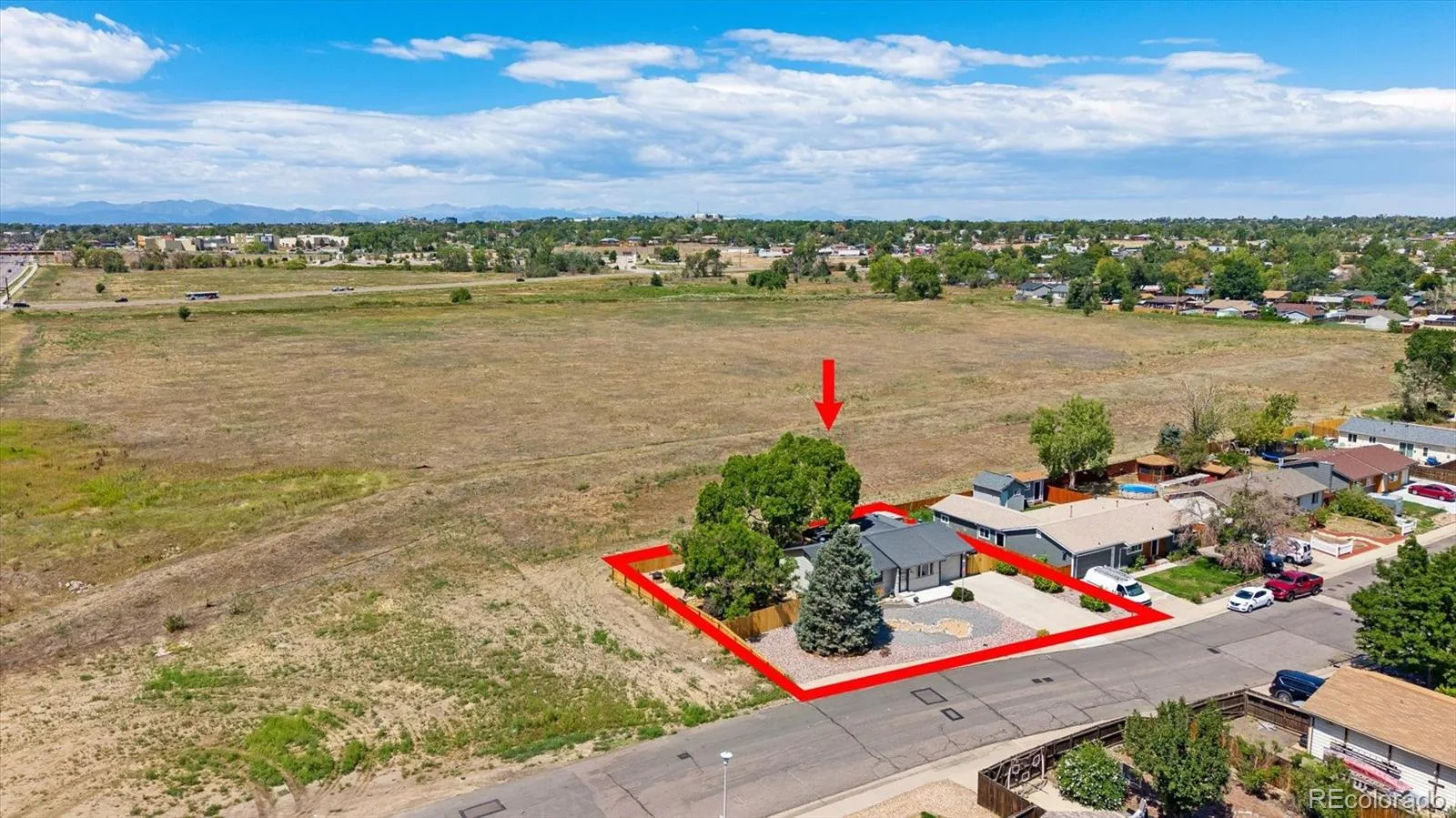 8831 Monroe Street Denver CO 80229 | MLS #REC4768608 08242026215850 1600 39