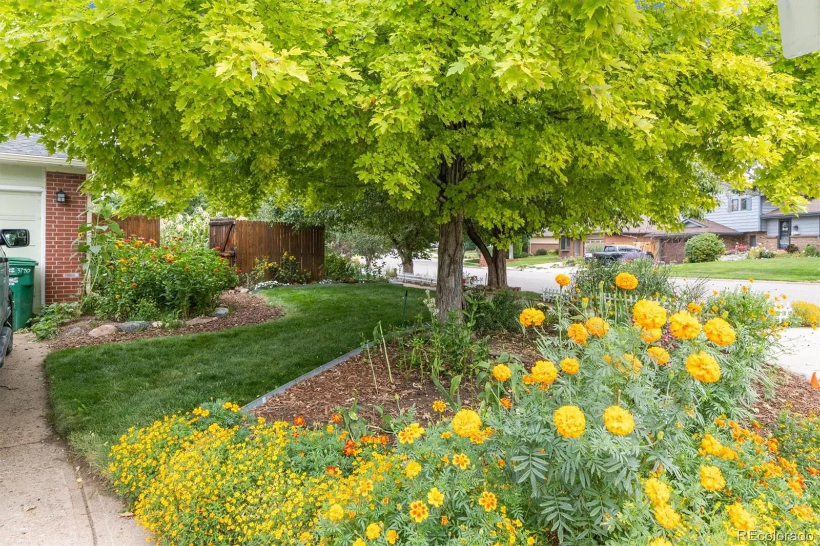 04042026202548 1600 29