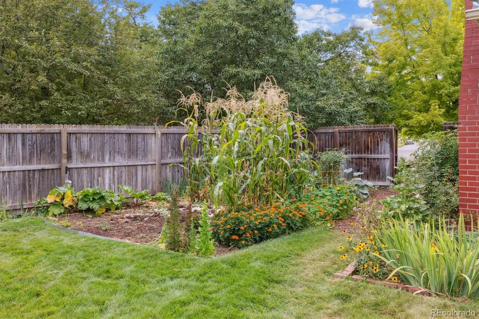 04042026202548 1600 32