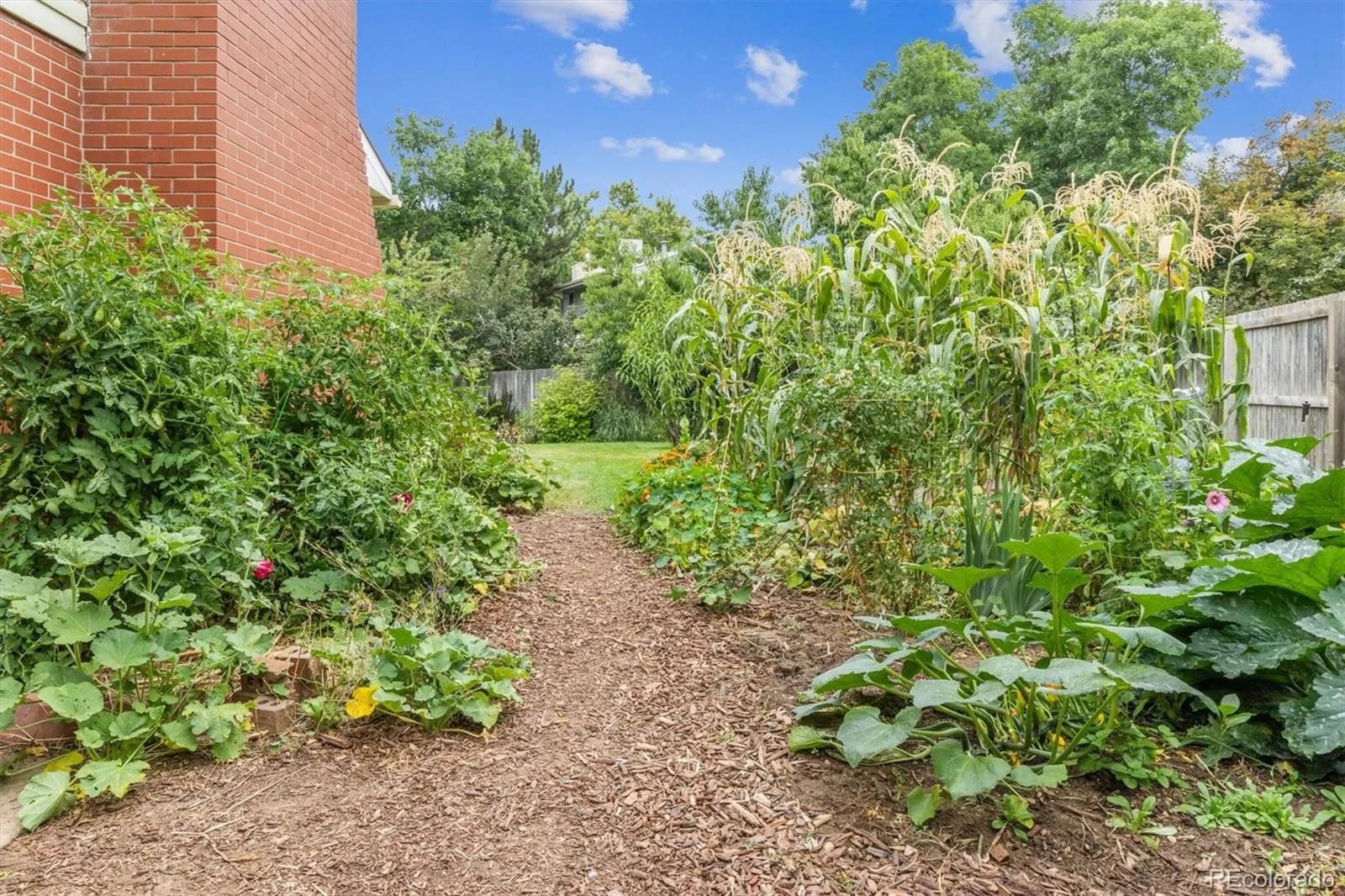 04042026202548 1600 37