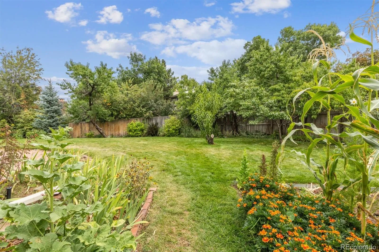 04042026202548 1600 38