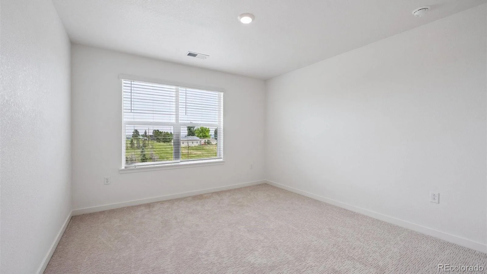 13990 Beebalm Trail Parker CO 80134 MLS #REC4772001 06092026193610 1600 15