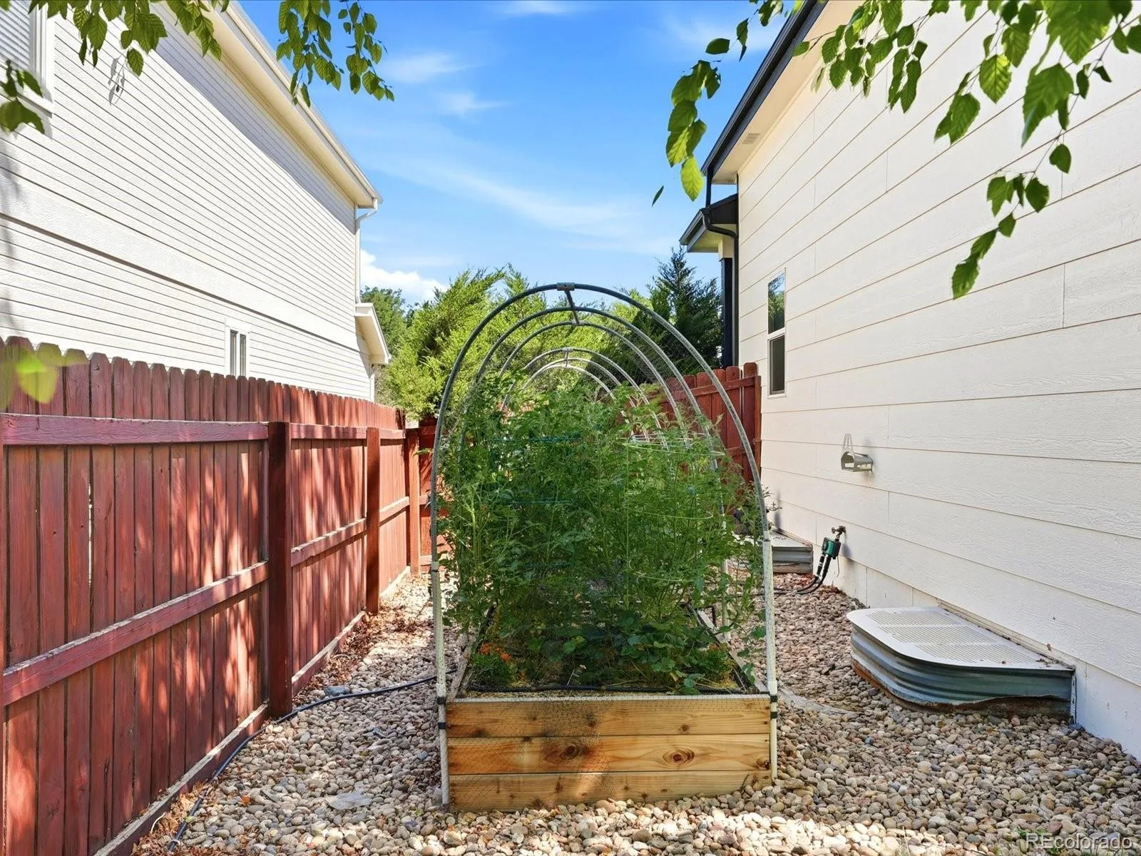 6570 W 96th Drive Broomfield CO 80021 | MLS #REC4774202 07222026145259 1600 42