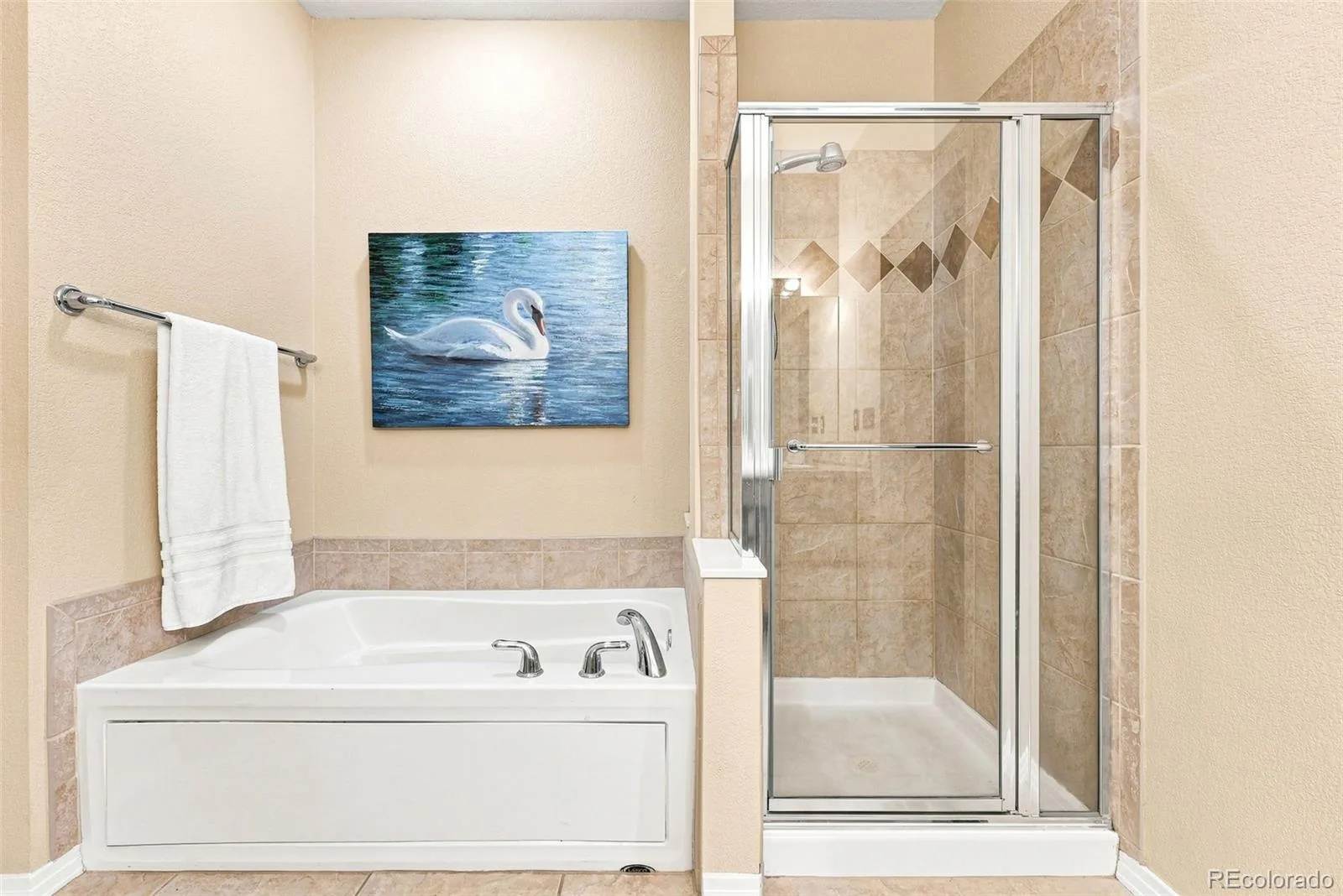 4123 Da Vinci Drive Longmont CO 80503 | MLS #REC4776363 08062026170516 1600 20