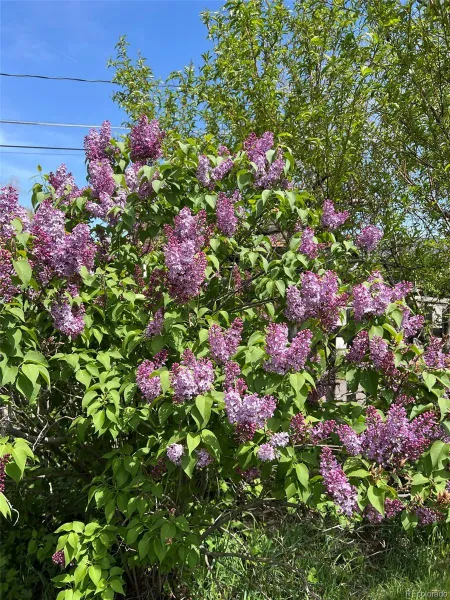 04012026165630 800 41