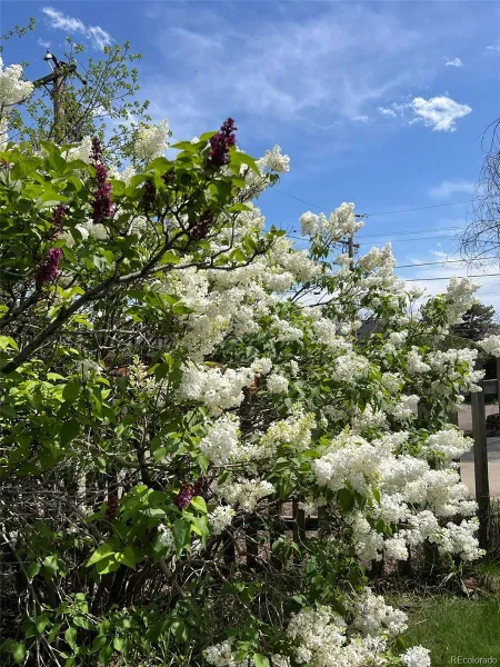 04012026165630 800 42