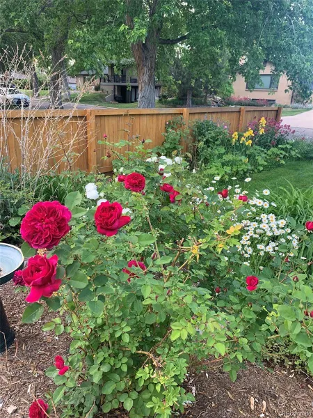 04012026165630 800 43