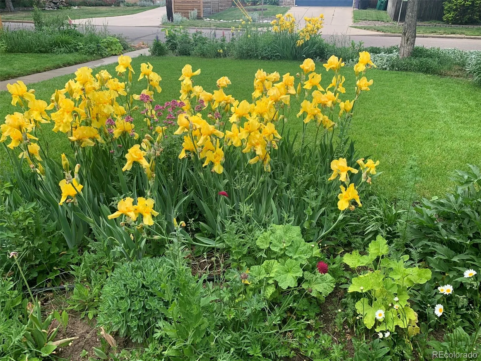 05052026040833 1600 40