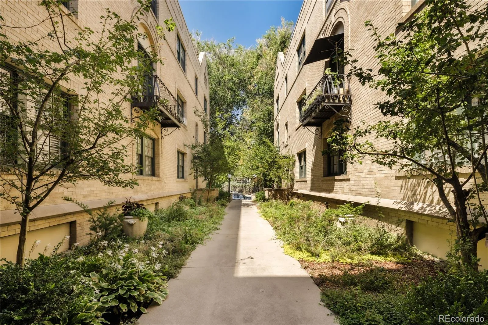 960 N Sherman Street #2E Denver CO 80203 MLS #REC4795692 07232026211139 1600 19