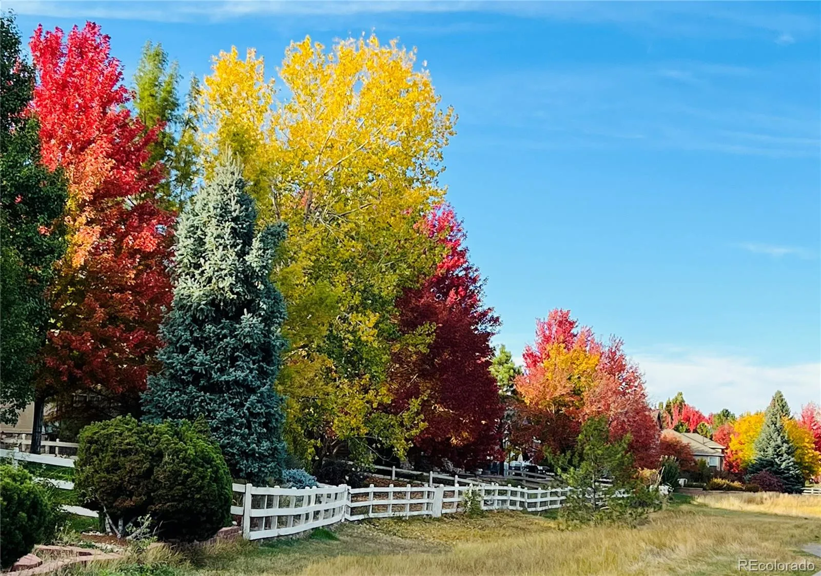 14090 Turnberry Court Broomfield CO 80023 MLS #REC4796178 05142026211623 1600 36