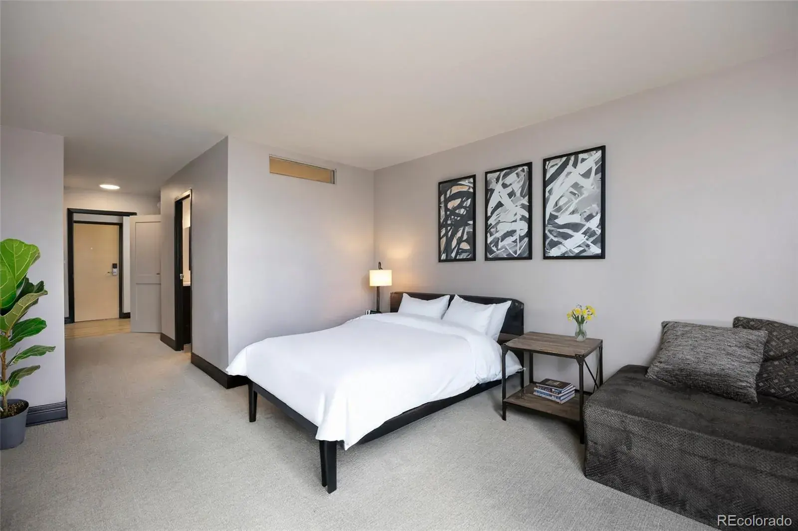 02172026004801 1600 20