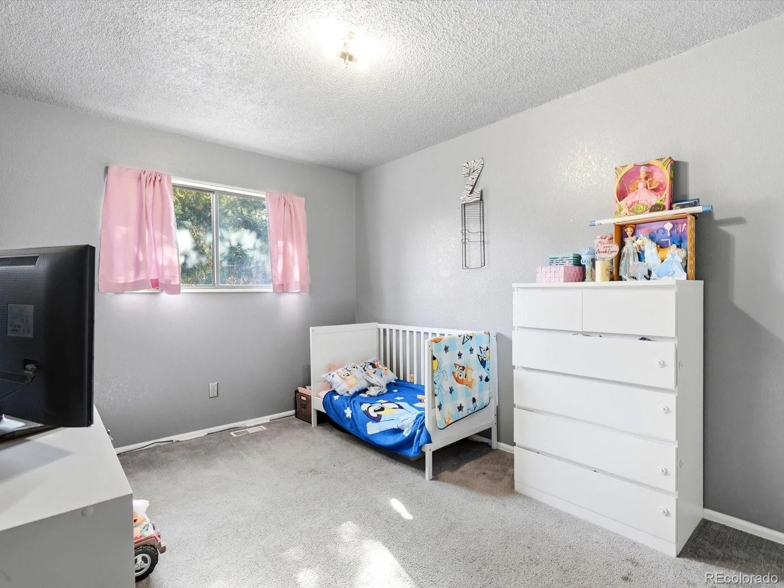 1736 S Olathe Street Aurora CO 80017 | MLS #REC4798062 08292026093723 1600 10