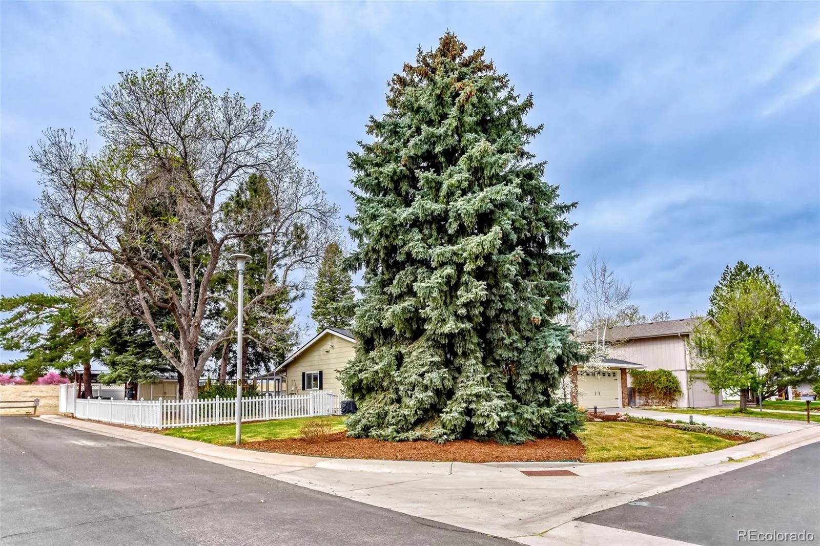 04032026142017 1600 3