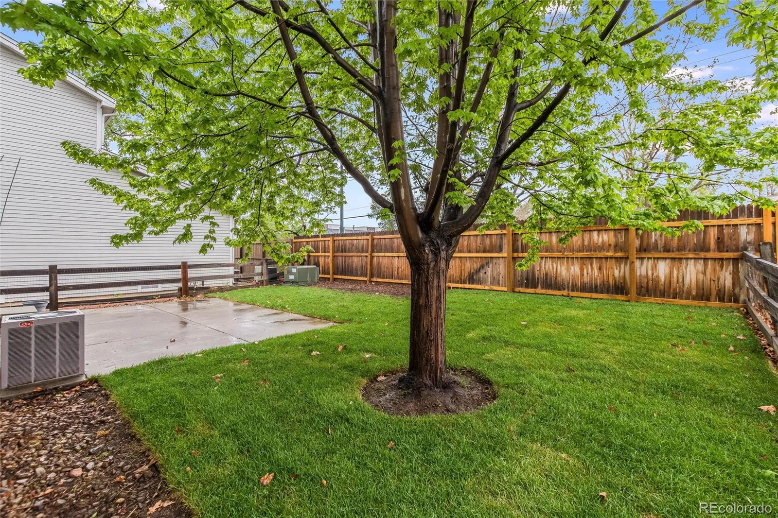 3516 Dexter Court Denver CO 80207 | MLS #REC4831575 08252026201007 1600 24