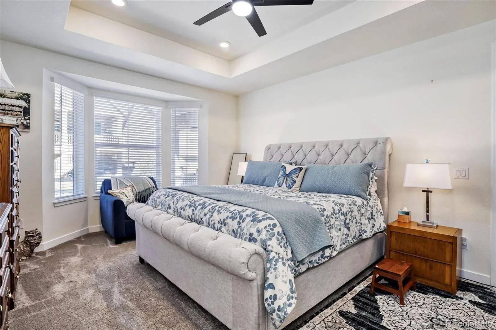 8901 S Ukraine Court Aurora CO 80016 MLS #REC4835784 03132026201545 1600 12
