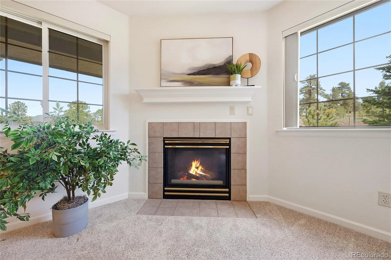 31719 Rocky Village Drive #321 Evergreen CO 80439 | MLS #REC4839418 07172026005426 1600 12