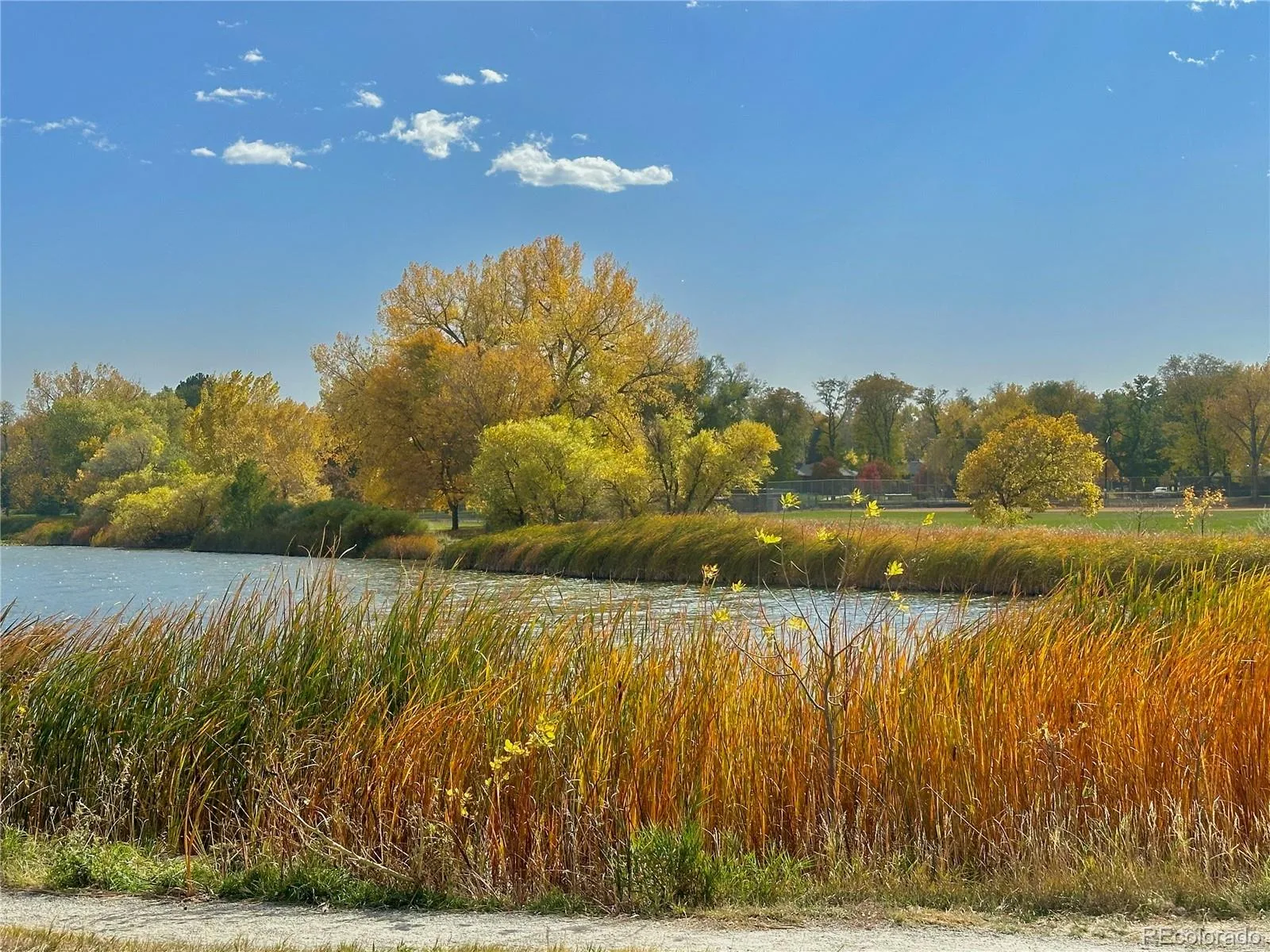 3141 W Denver Place Denver CO 80211 | MLS #REC4839441 10122026035446 1600 36