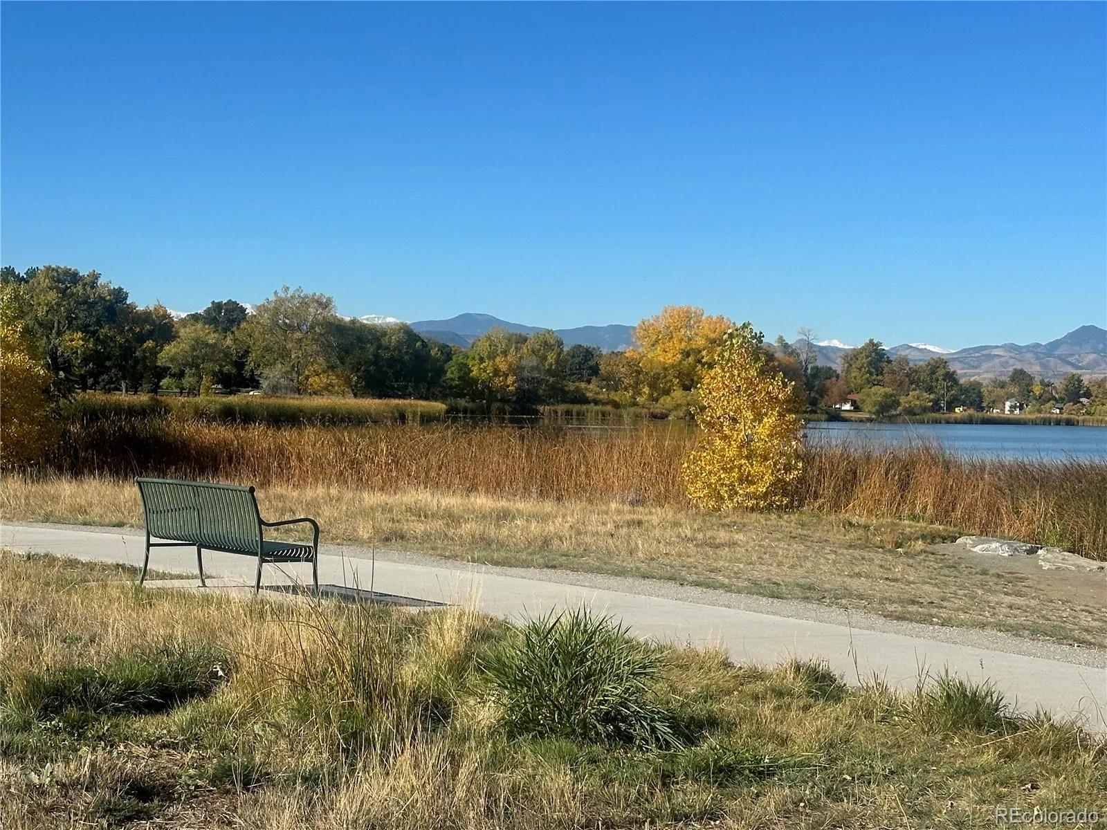 3141 W Denver Place Denver CO 80211 | MLS #REC4839441 10122026035446 1600 39