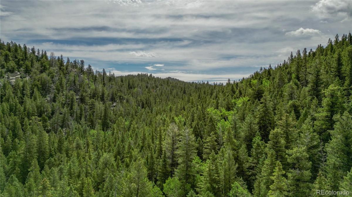 MLS #REC4841326 image #0