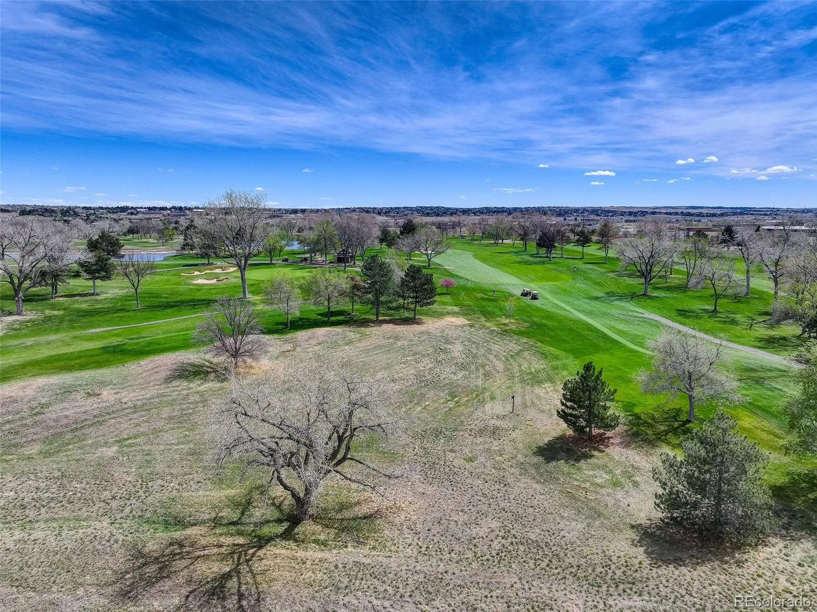 6568 S Blackhawk Way Aurora CO 80016 MLS #REC4849999 04132026184210 1600 42