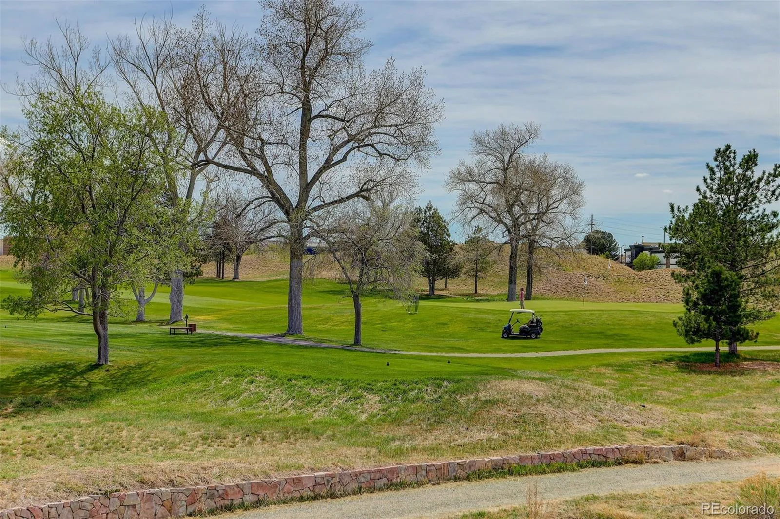6568 S Blackhawk Way Aurora CO 80016 MLS #REC4849999 04132026184210 1600 45