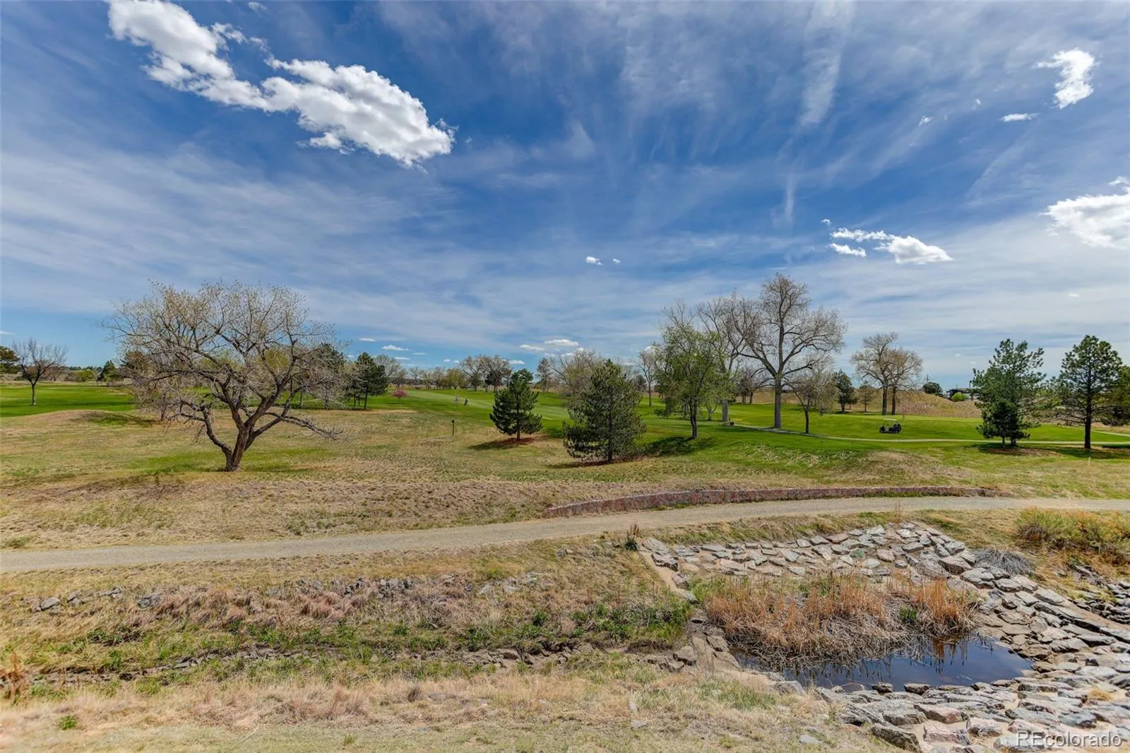 6568 S Blackhawk Way Aurora CO 80016 MLS #REC4849999 04132026184210 1600 46