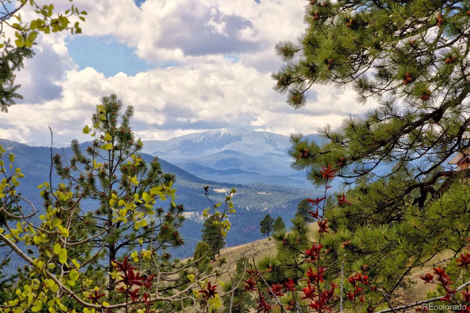 1952 Montane Drive Golden CO 80401 | MLS #REC4857550 08122026193516 1600 16