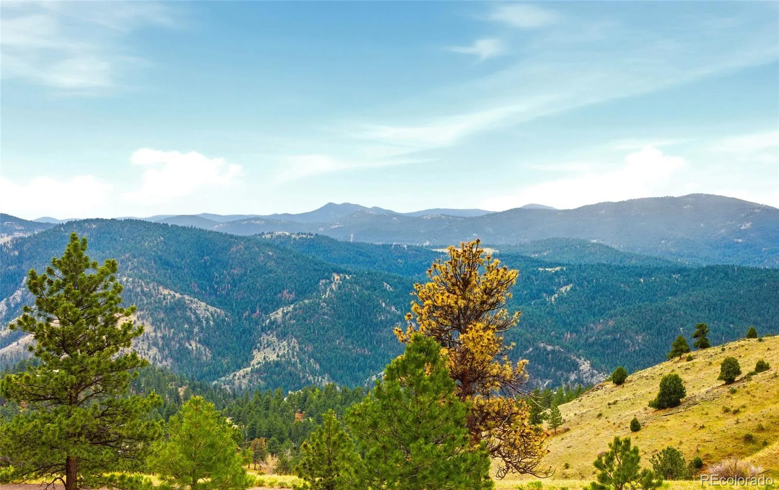 1952 Montane Drive Golden CO 80401 | MLS #REC4857550 08122026193516 1600 2