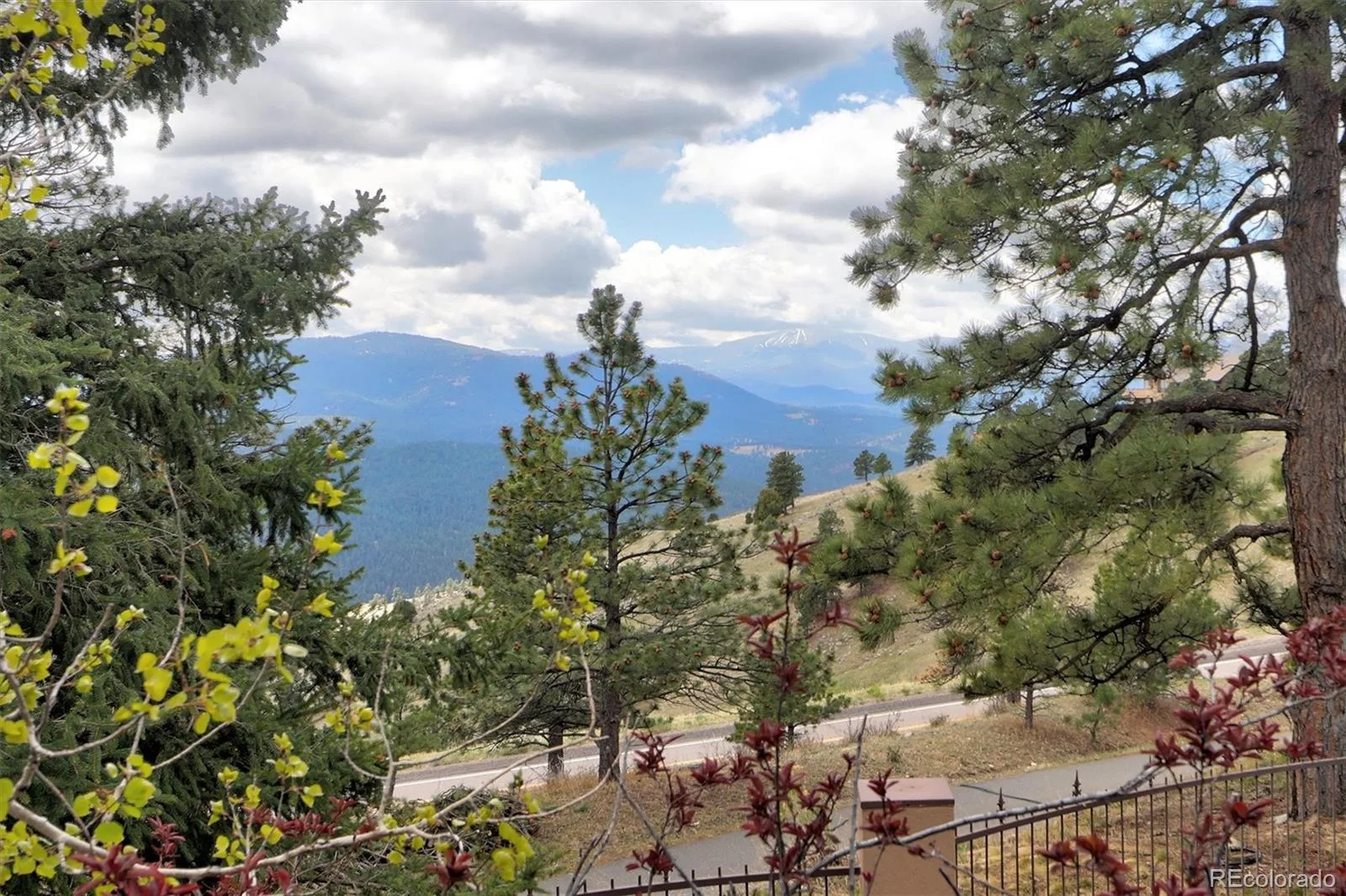 1952 Montane Drive Golden CO 80401 | MLS #REC4857550 08122026193516 1600 25
