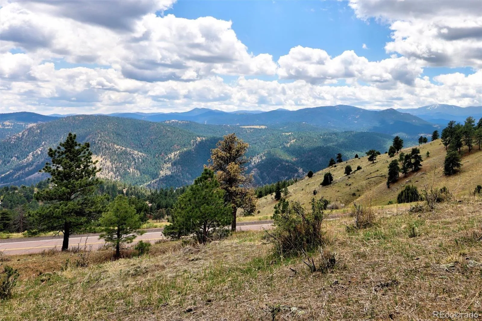 1952 Montane Drive Golden CO 80401 | MLS #REC4857550 08122026193516 1600 41