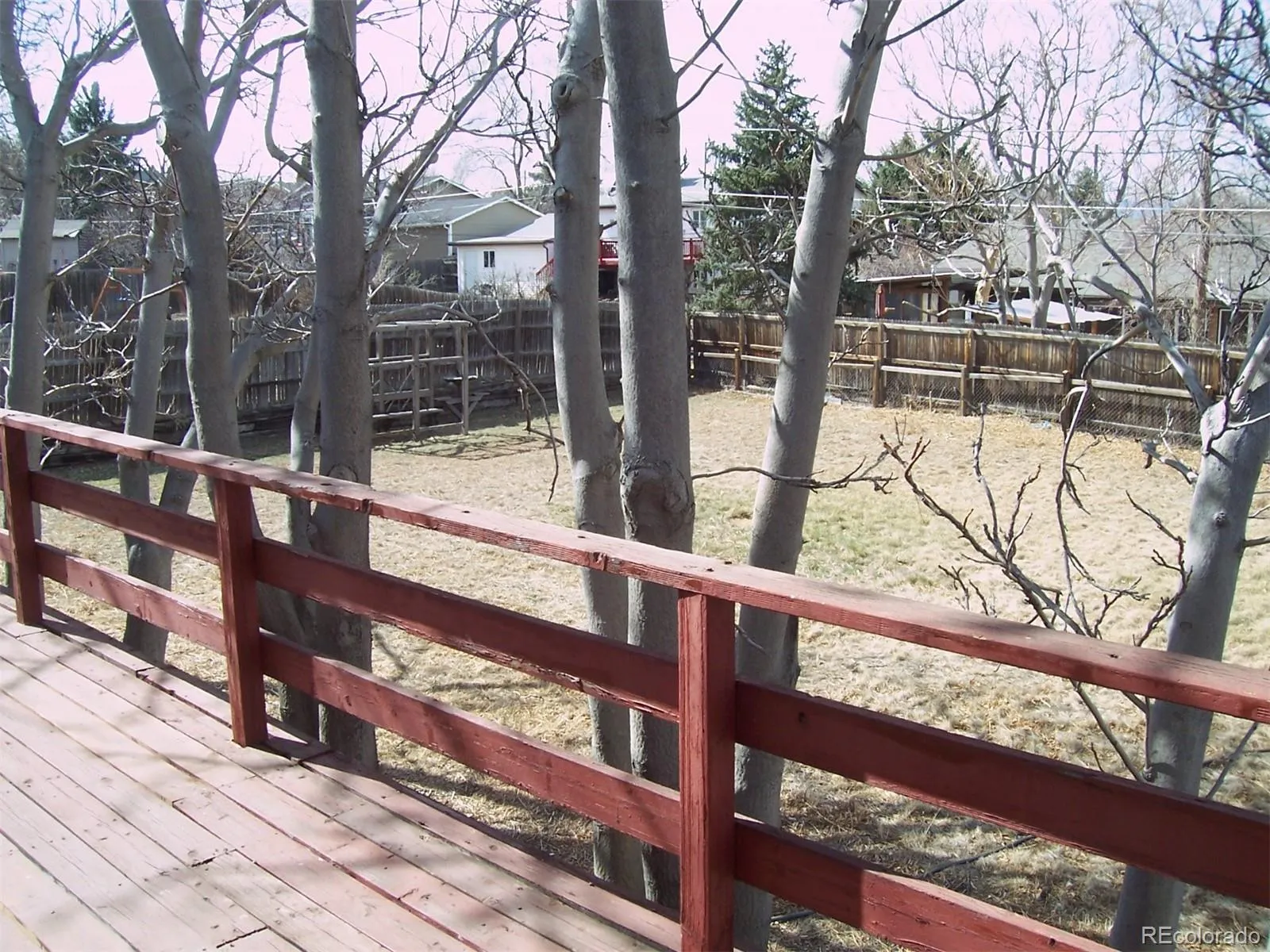 04102026195513 1600 20