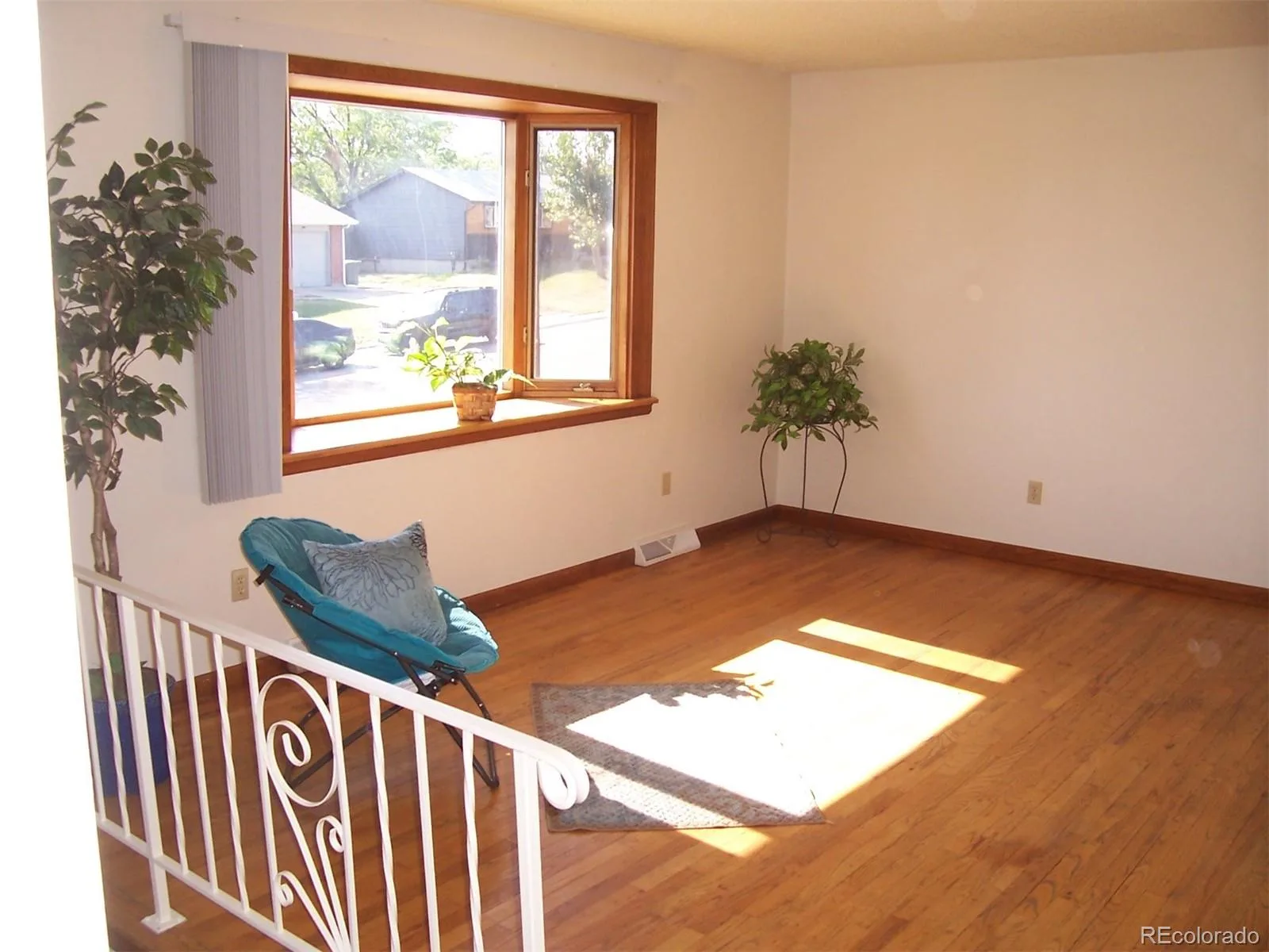 11779 Acoma Street Northglenn CO 80234 | MLS #REC4863366 08182026214147 1600 15