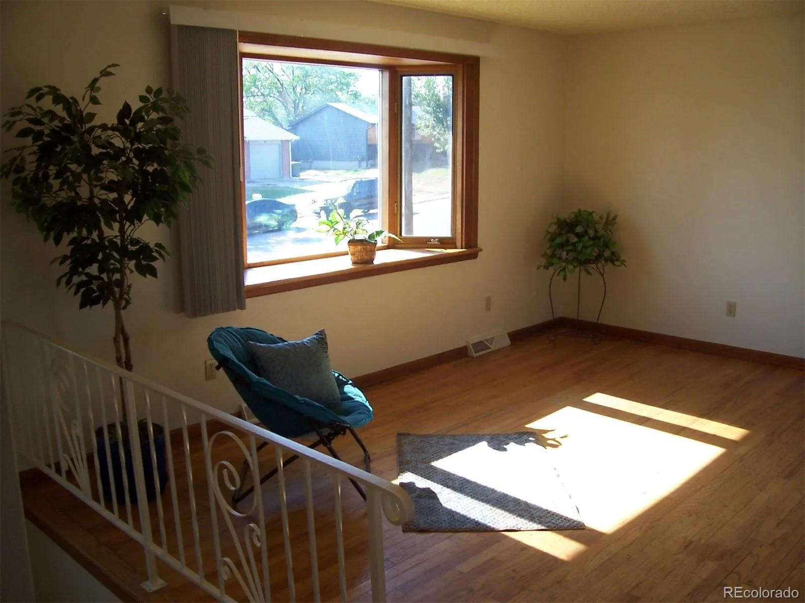 11779 Acoma Street Northglenn CO 80234 | MLS #REC4863366 08182026214147 1600 16
