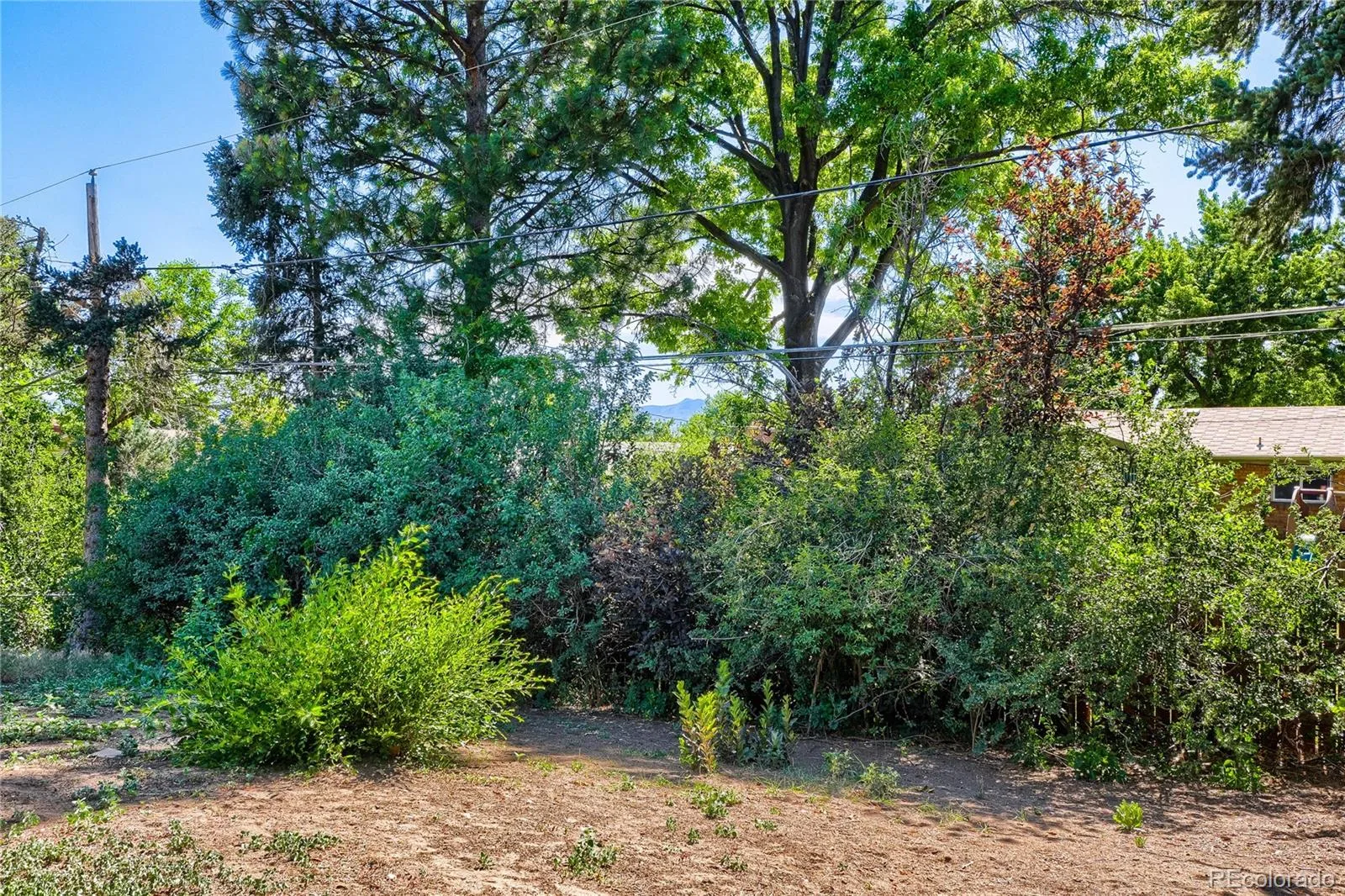 2719 S Kendall Way Denver CO 80227 MLS #REC4873111 06132026033903 1600 21