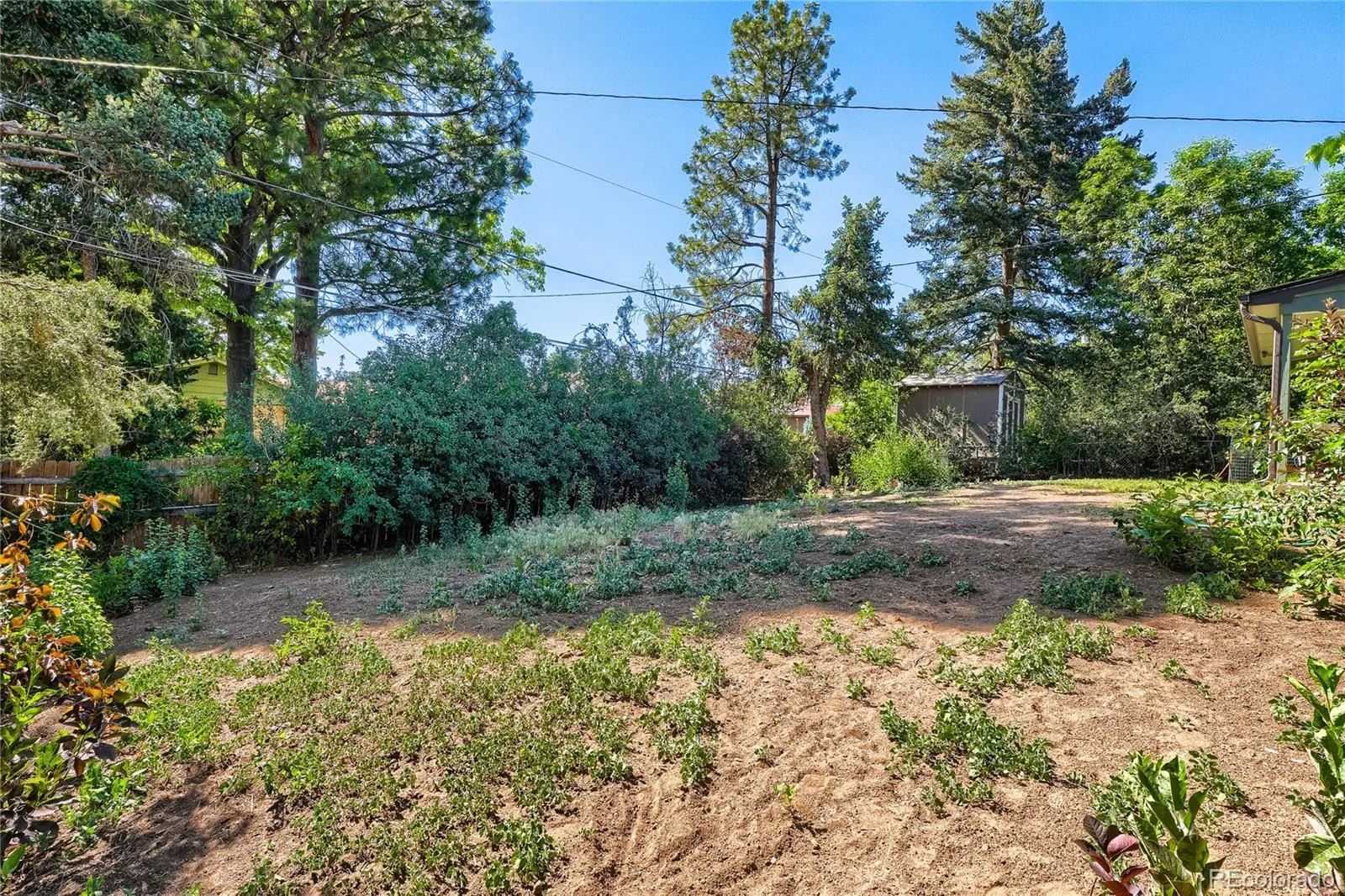 2719 S Kendall Way Denver CO 80227 MLS #REC4873111 06132026033903 1600 22